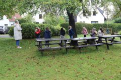 k-IMG_9716-Eichhoernchenjagd