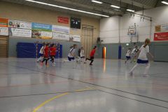 Schwanencup 2025 – Mädchenausgabe